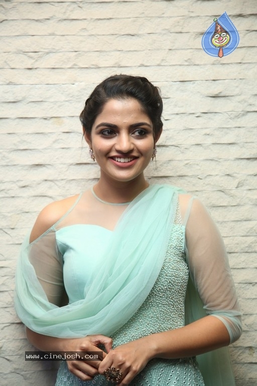 Nikhila Vimal Latest Stills - 19 / 20 photos