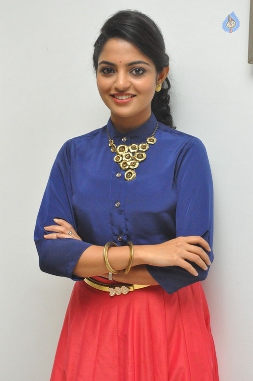 Nikhila Vimal New Photos - 9 / 15 photos