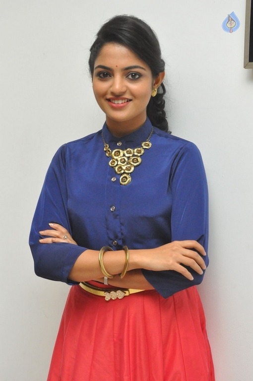 Nikhila Vimal New Photos - 12 / 15 photos