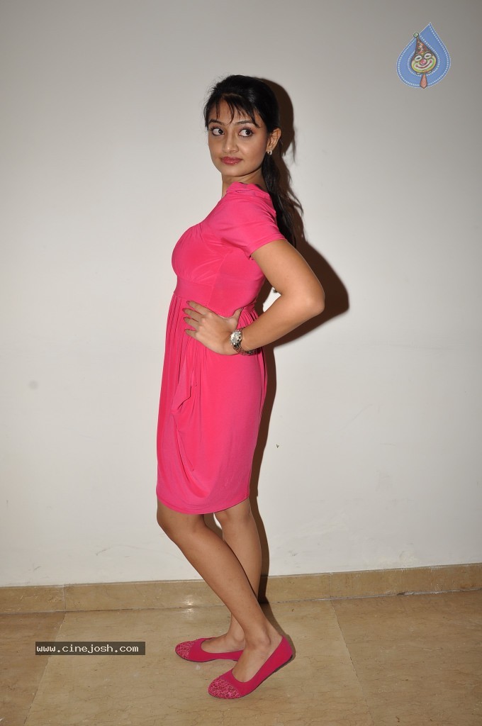 Nikita Narayan Hot Photos - 13 / 44 photos