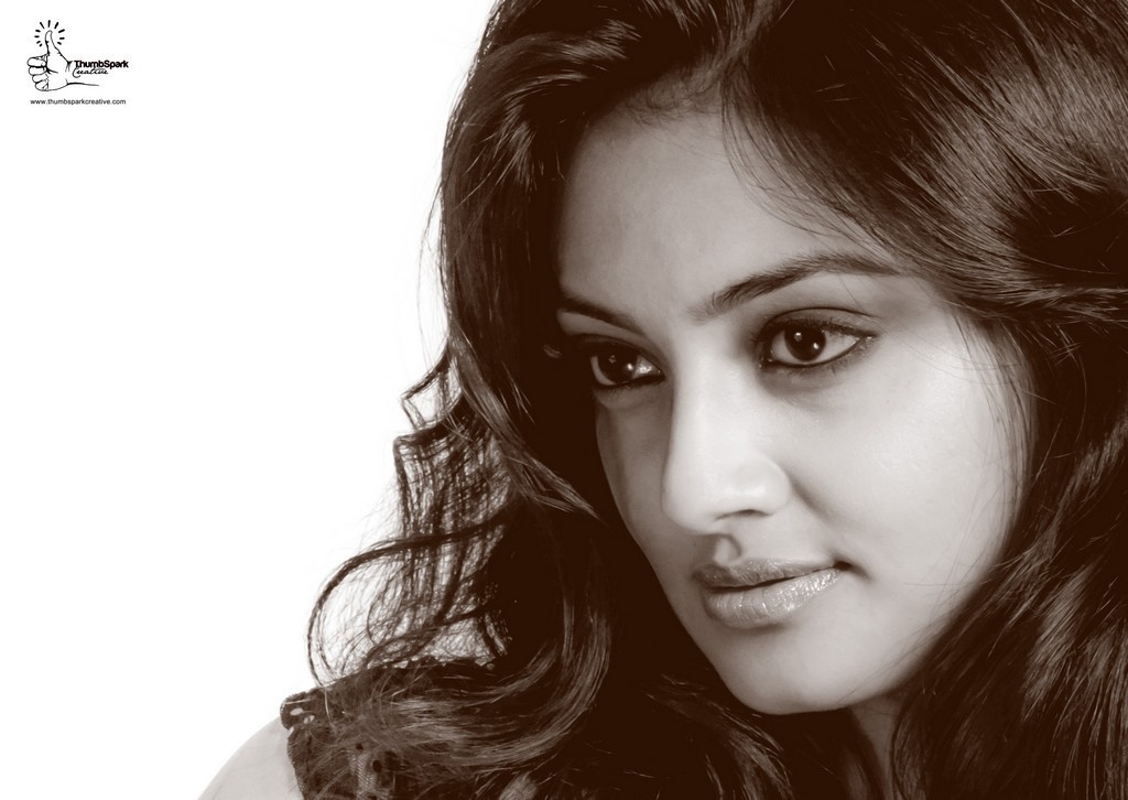 Nikitha Narayan Hot Pics - 7 / 16 photos