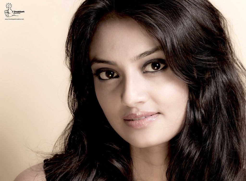 Nikitha Narayan Hot Pics - 12 / 16 photos