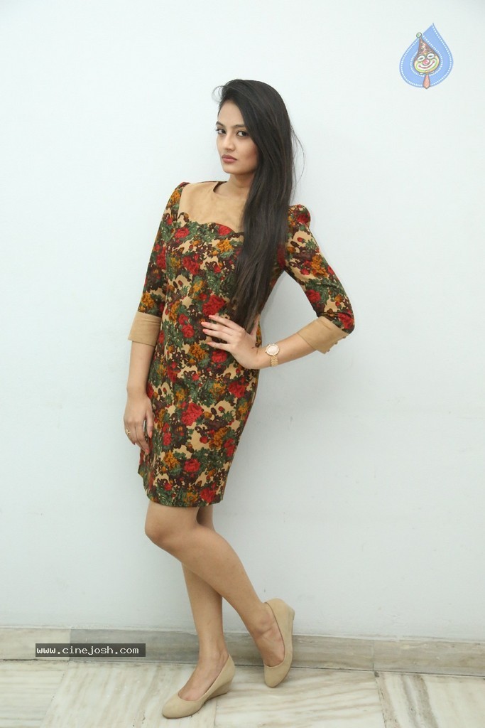 Nikitha Narayan Latest Pics - 12 / 124 photos