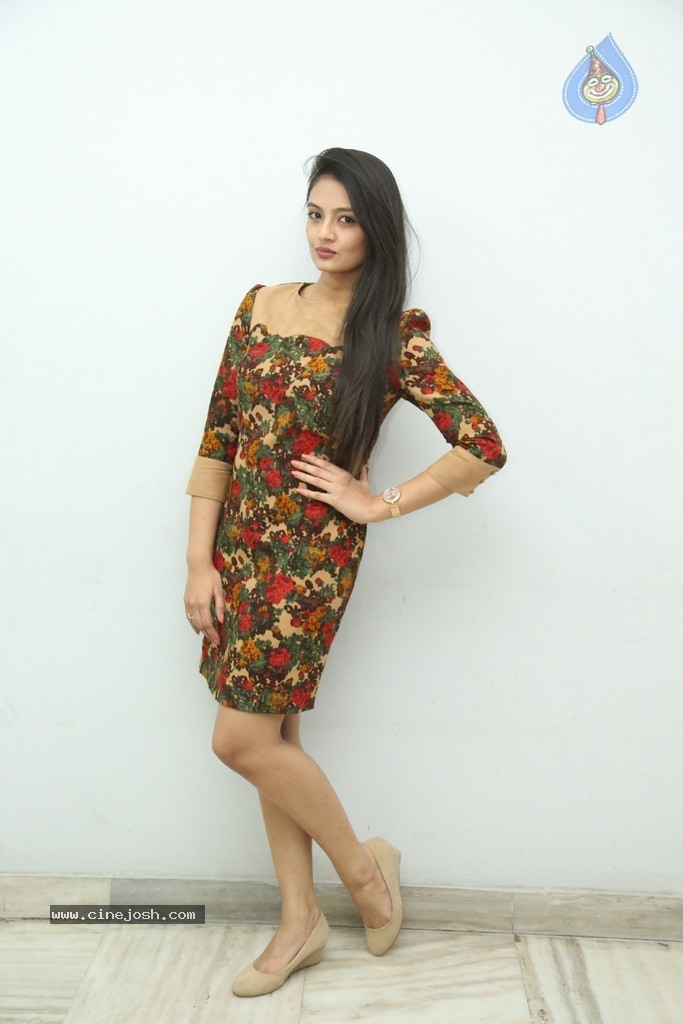 Nikitha Narayan Latest Pics - 41 / 124 photos