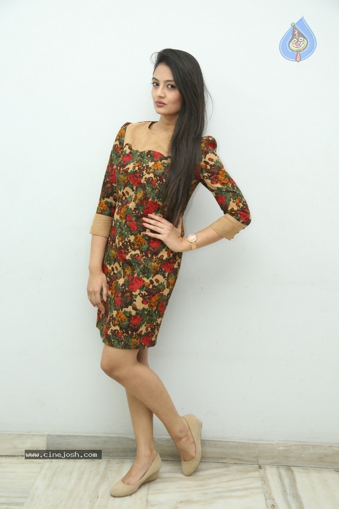 Nikitha Narayan Latest Pics - 42 / 124 photos