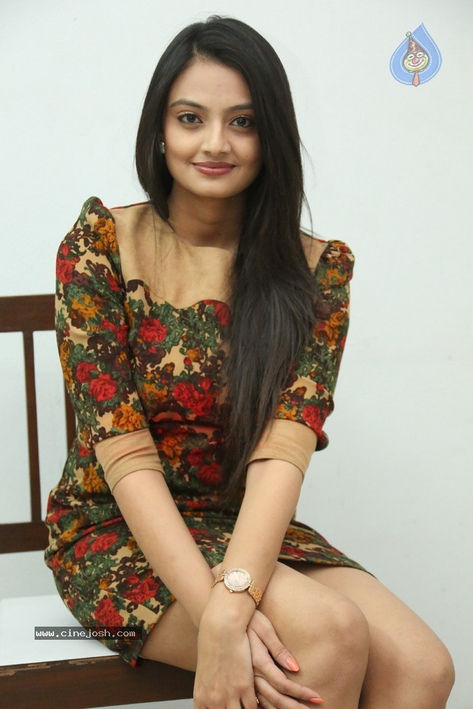 Nikitha Narayan Latest Pics - 67 / 124 photos