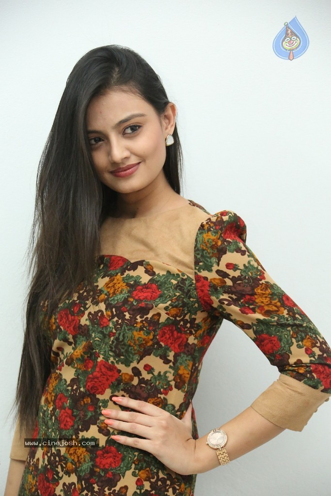 Nikitha Narayan Latest Pics - 93 / 124 photos