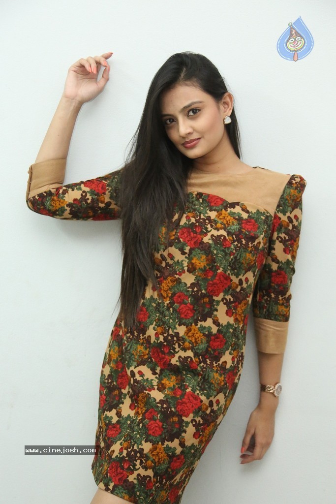 Nikitha Narayan Latest Pics - 98 / 124 photos