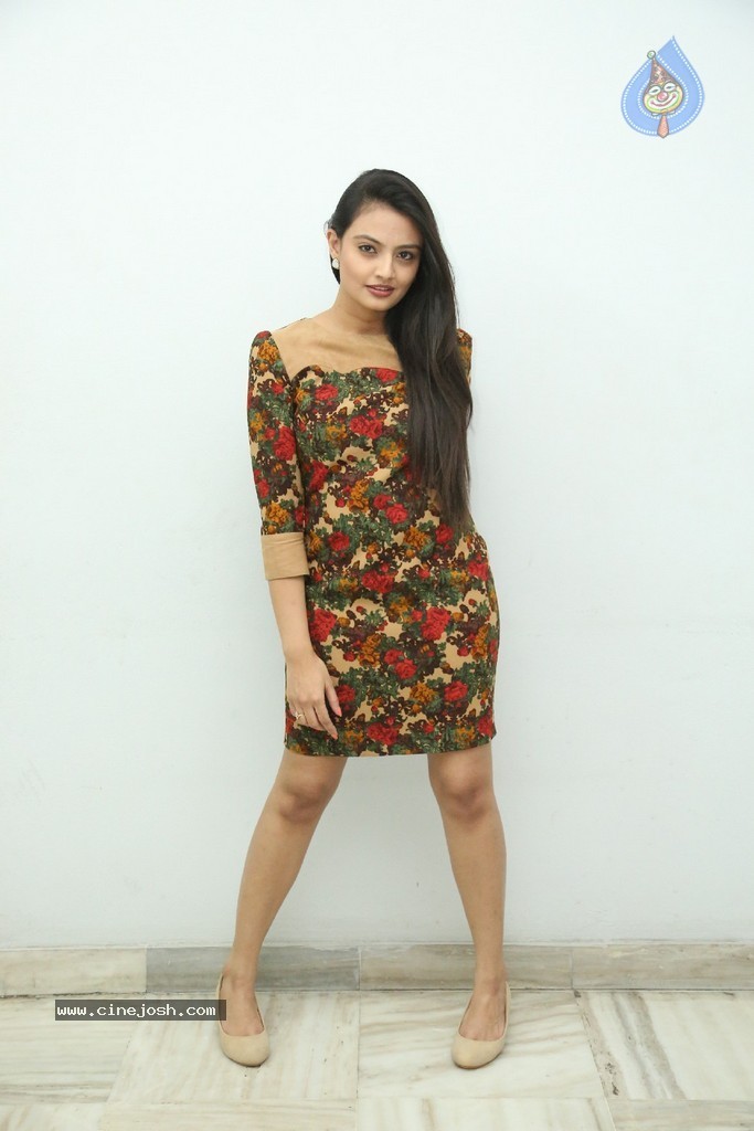 Nikitha Narayan Latest Pics - 118 / 124 photos