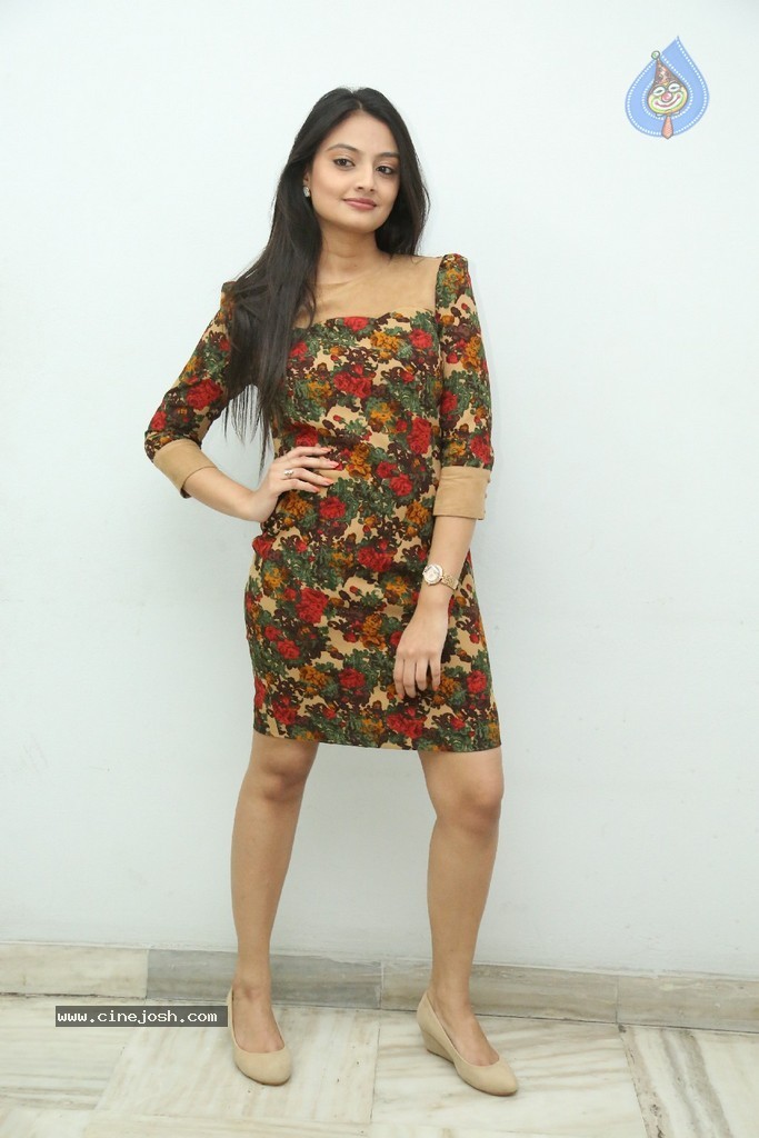 Nikitha Narayan Latest Pics - 119 / 124 photos