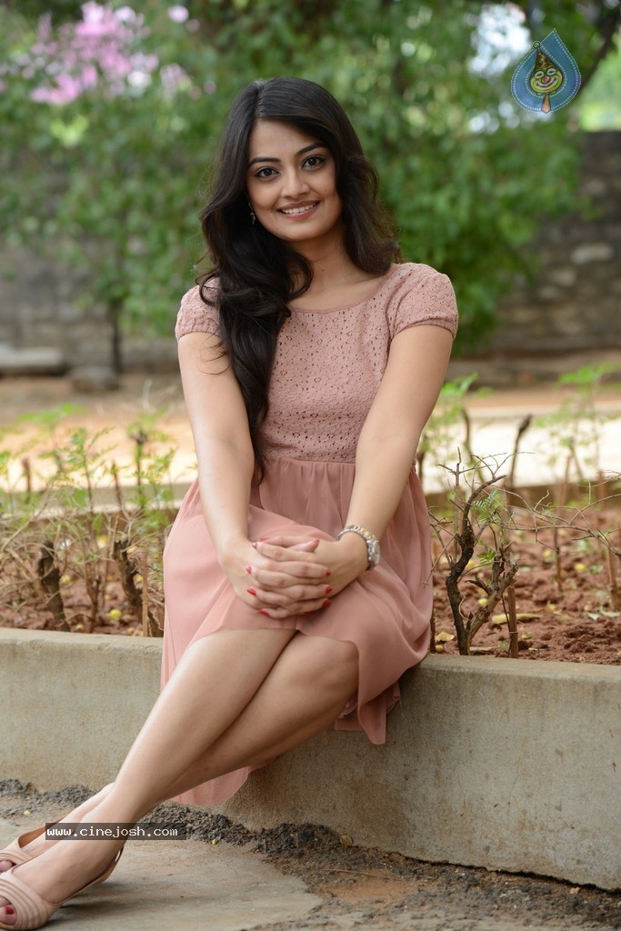 Nikitha Narayan New Gallery - 13 / 108 photos