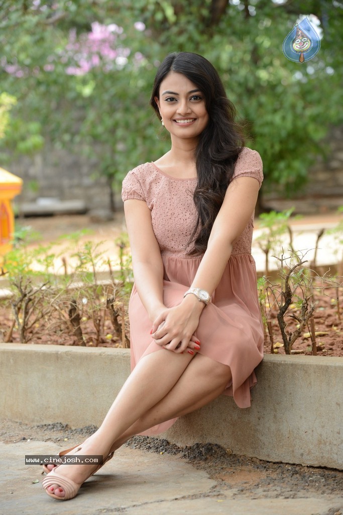 Nikitha Narayan New Gallery - 89 / 108 photos