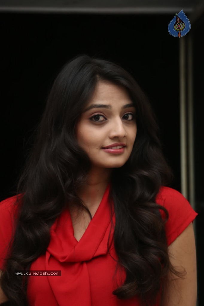 Nikitha Narayan New Images  - 19 / 102 photos