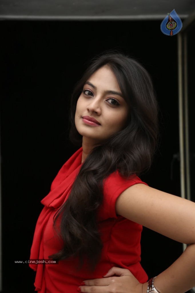 Nikitha Narayan New Images  - 20 / 102 photos