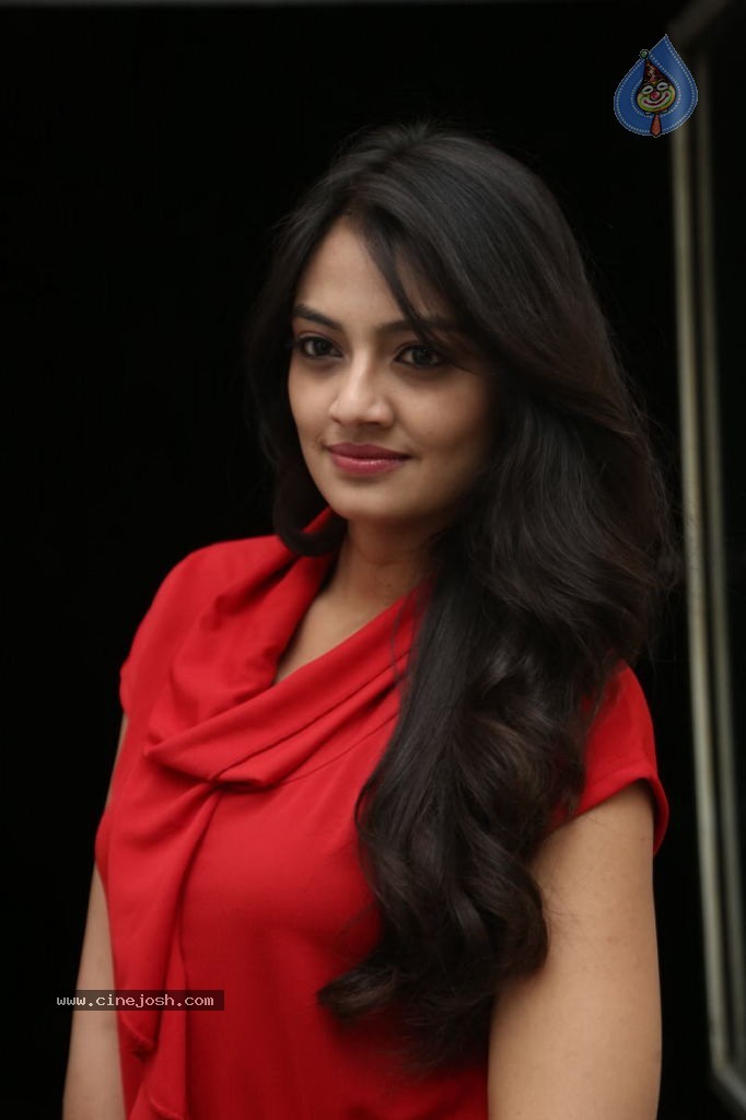 Nikitha Narayan New Images  - 22 / 102 photos