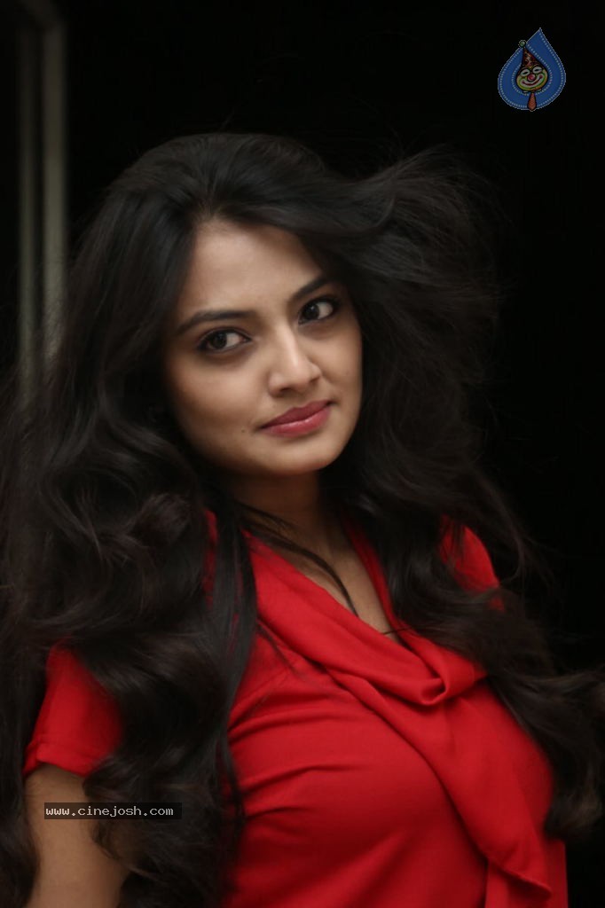 Nikitha Narayan New Images  - 25 / 102 photos