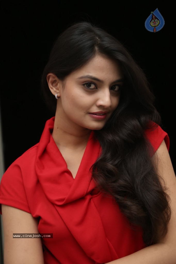 Nikitha Narayan New Images  - 29 / 102 photos