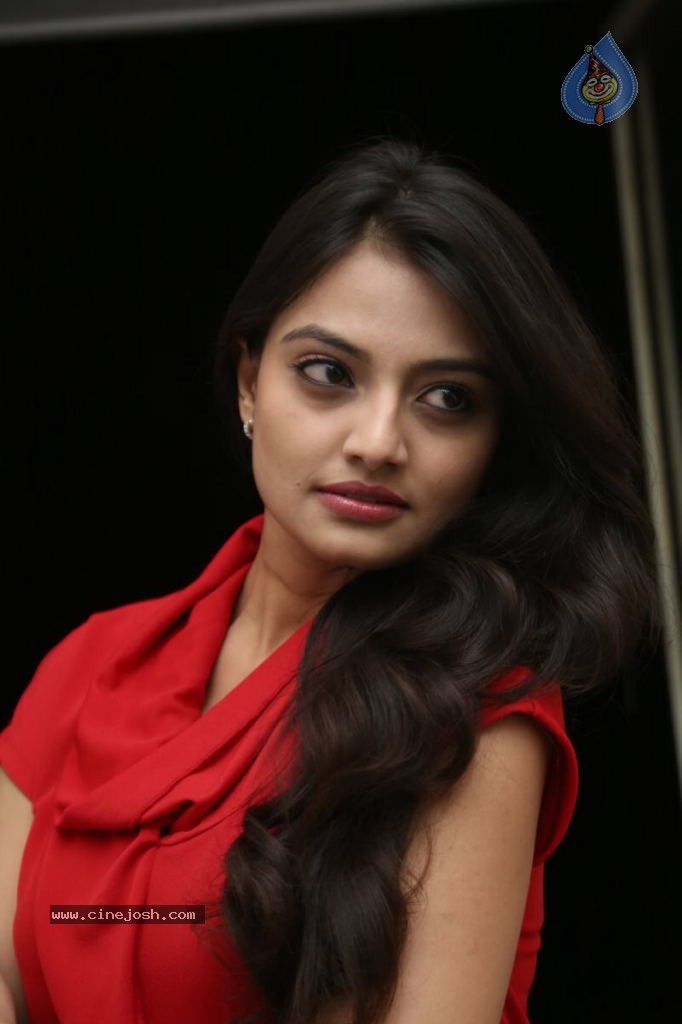Nikitha Narayan New Images  - 36 / 102 photos