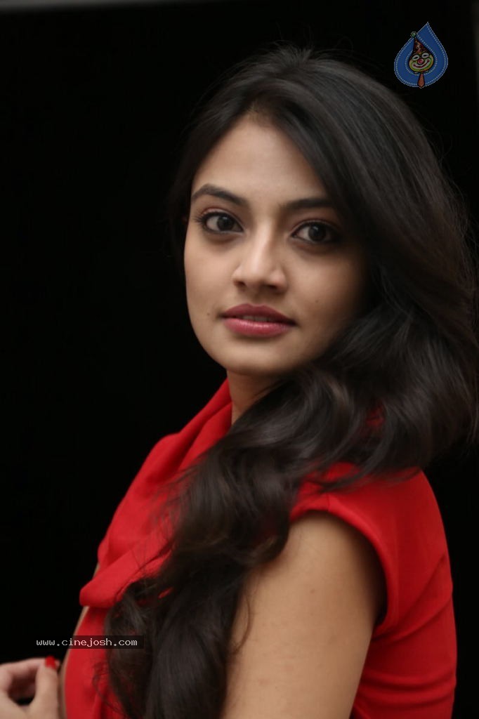 Nikitha Narayan New Images  - 45 / 102 photos