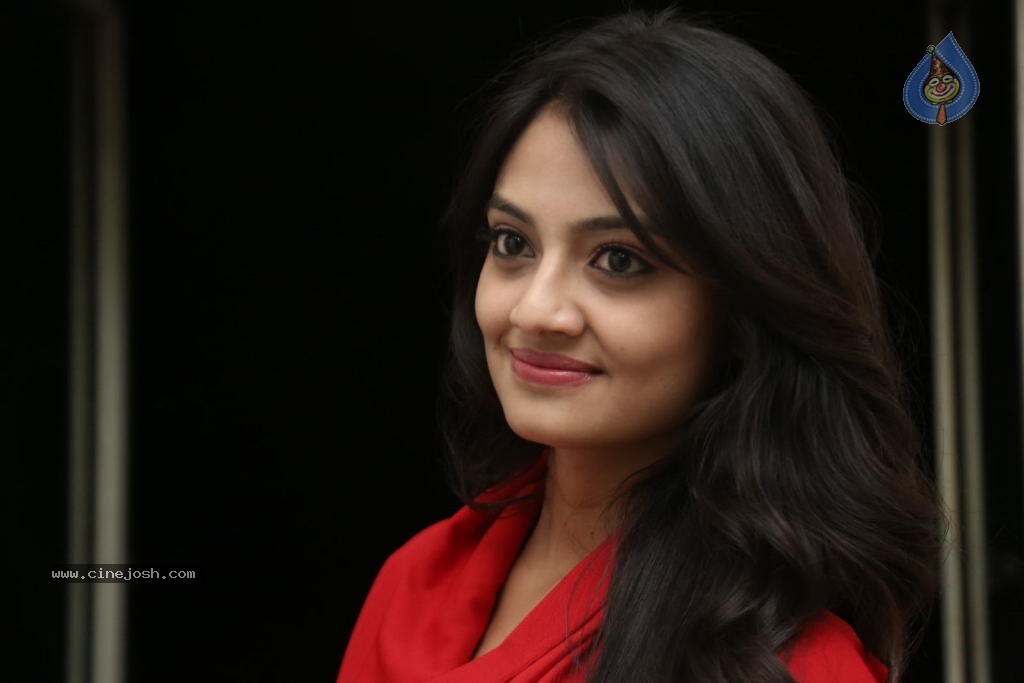 Nikitha Narayan New Images  - 48 / 102 photos