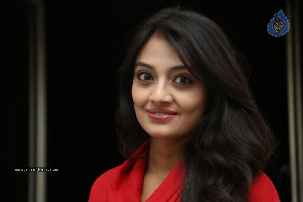 Nikitha Narayan New Images  - 51 / 102 photos