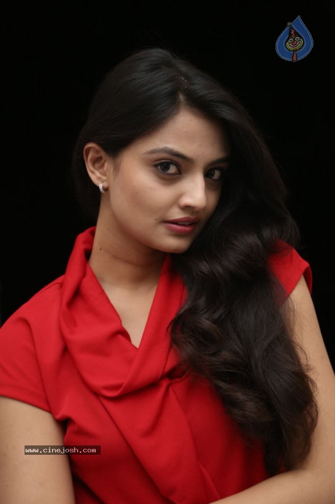 Nikitha Narayan New Images  - 60 / 102 photos