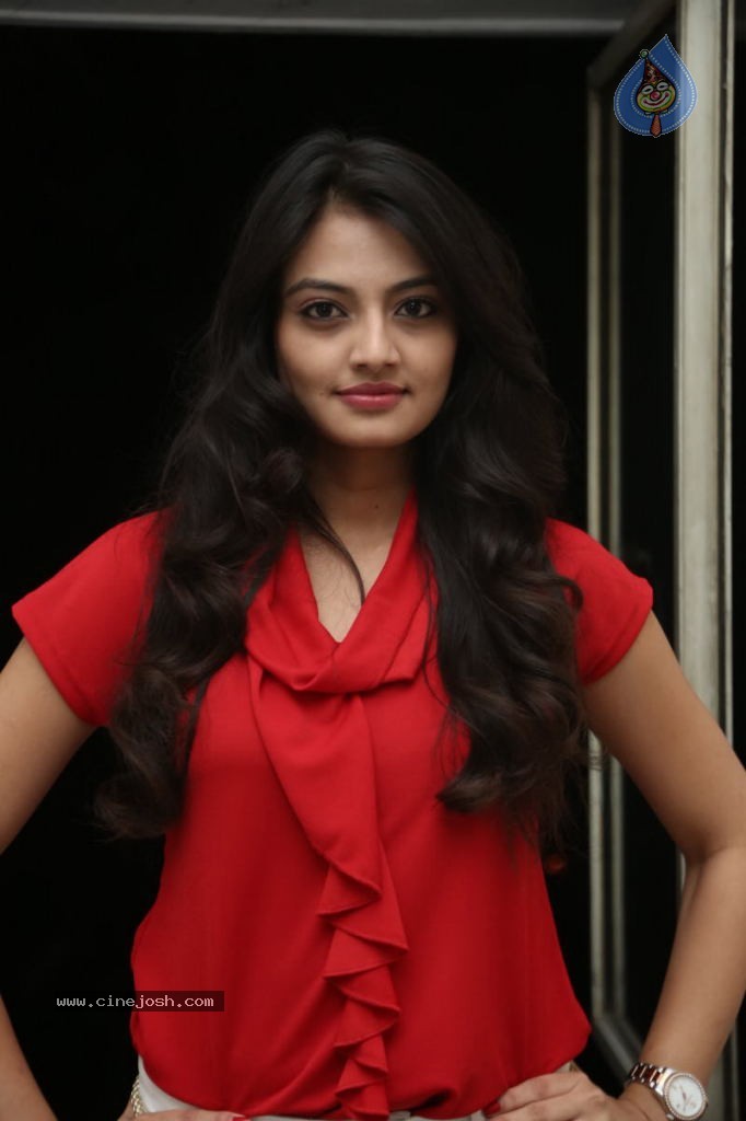 Nikitha Narayan New Images  - 65 / 102 photos