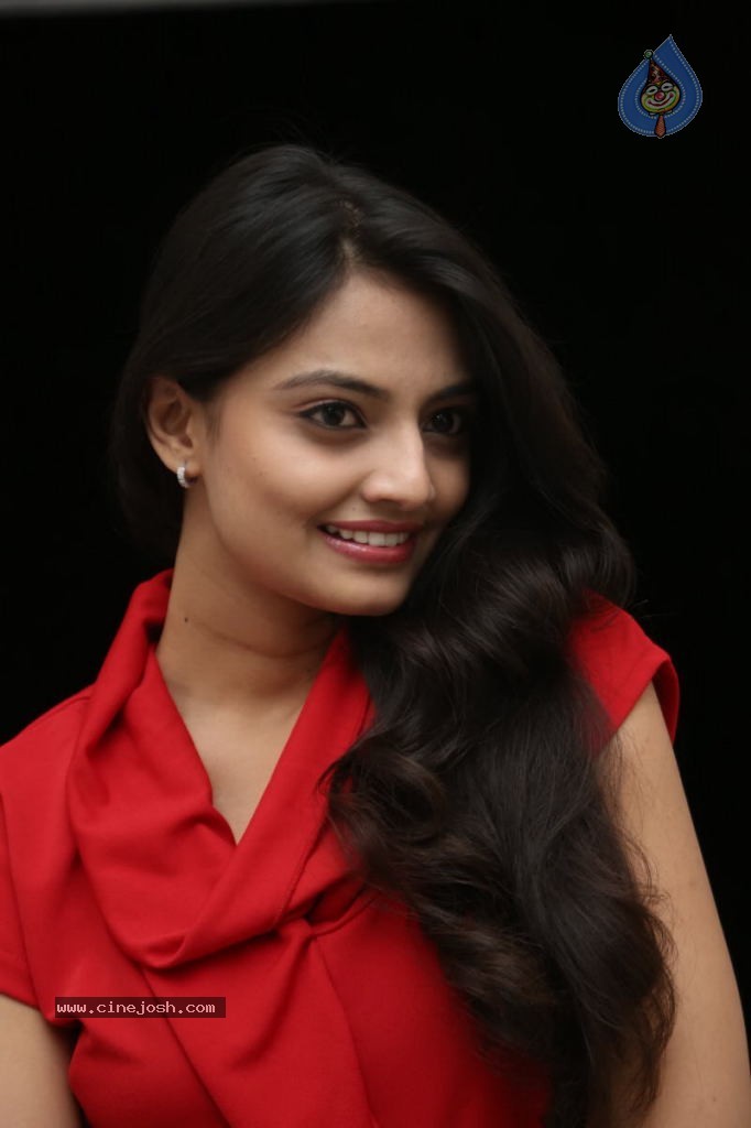 Nikitha Narayan New Images  - 67 / 102 photos