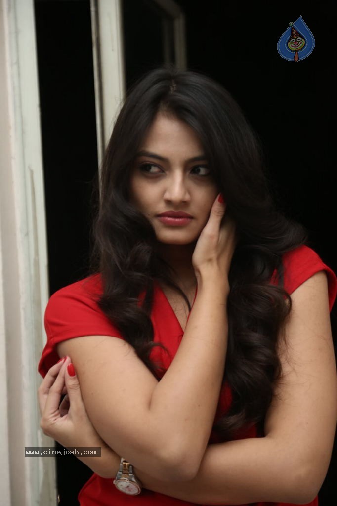 Nikitha Narayan New Images  - 69 / 102 photos