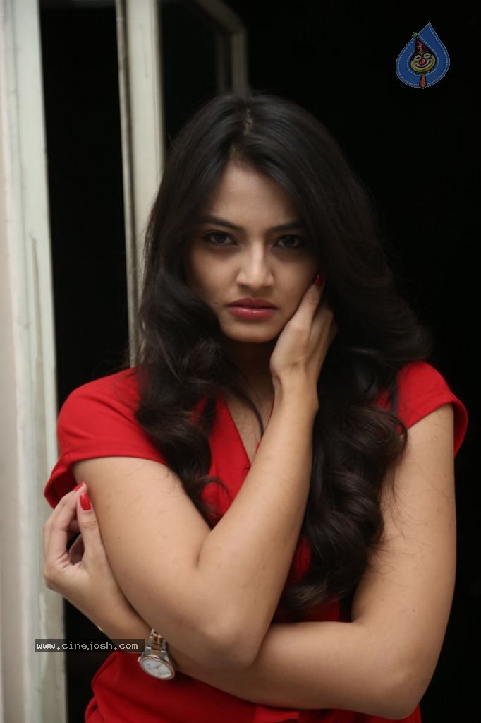 Nikitha Narayan New Images  - 70 / 102 photos