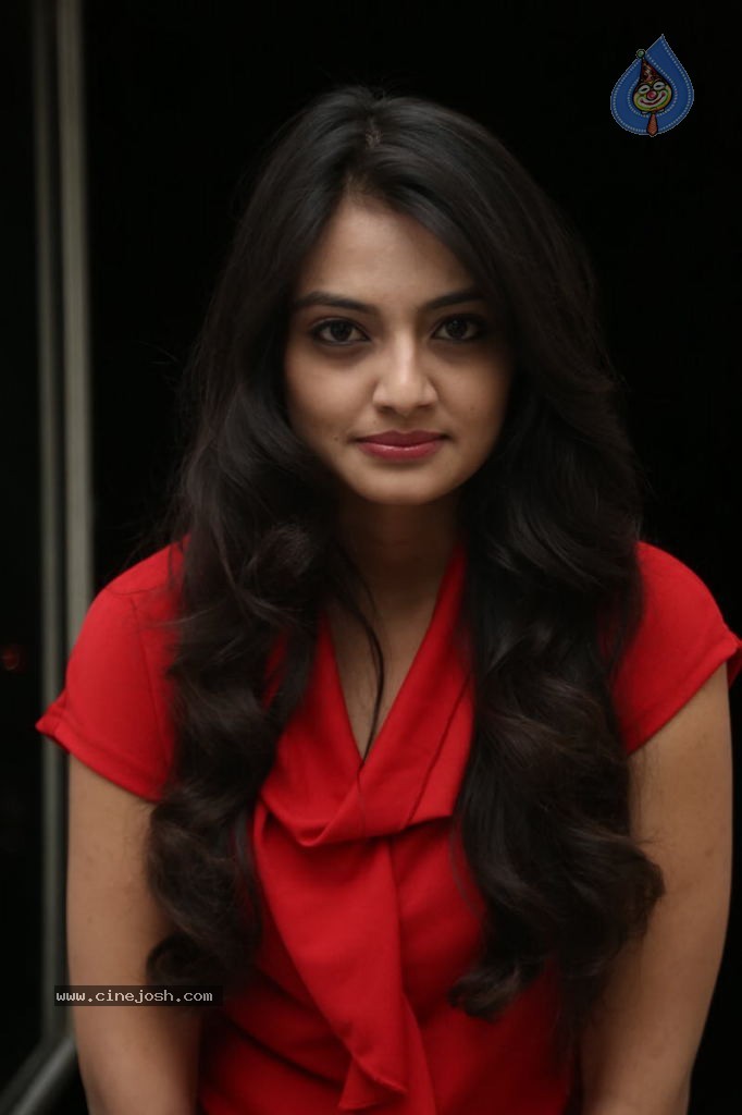 Nikitha Narayan New Images  - 74 / 102 photos