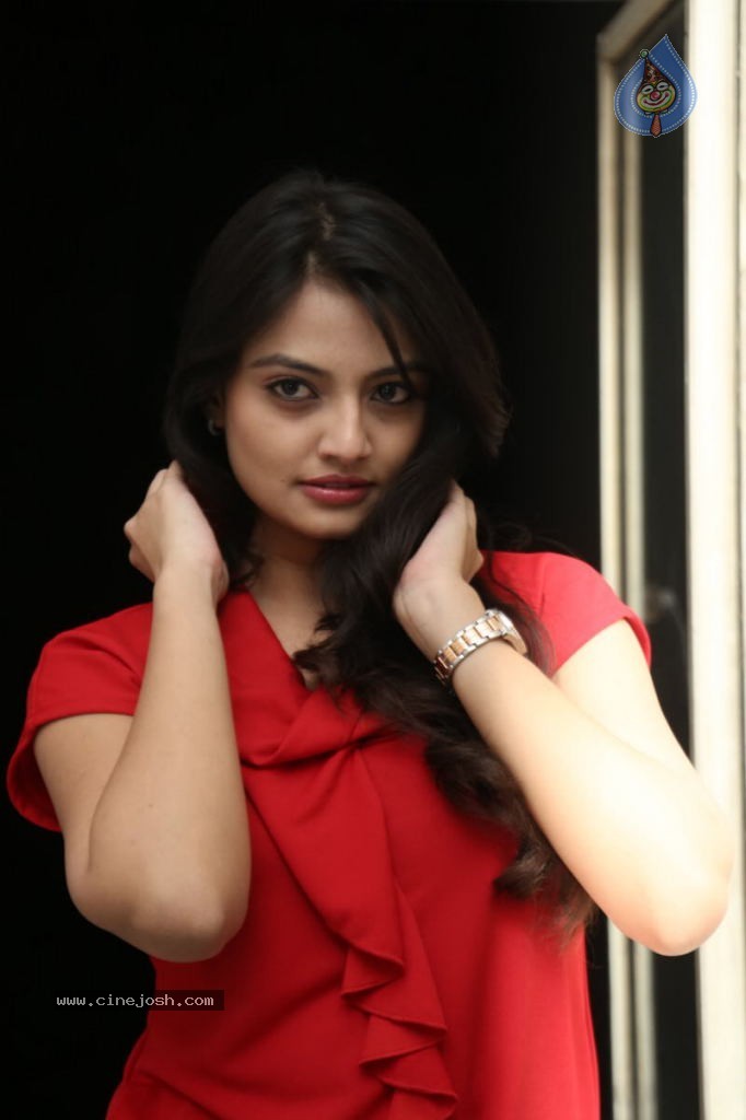 Nikitha Narayan New Images  - 80 / 102 photos
