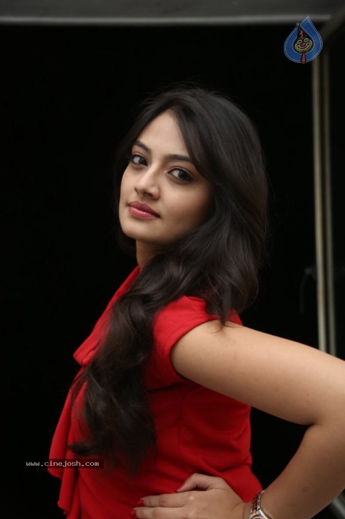 Nikitha Narayan New Images  - 85 / 102 photos