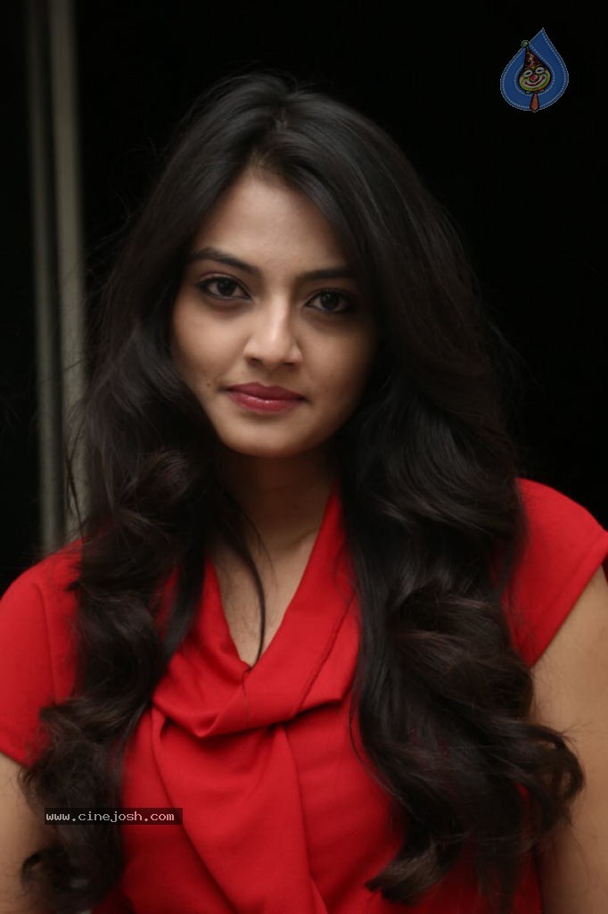 Nikitha Narayan New Images  - 90 / 102 photos