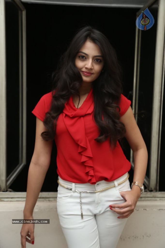 Nikitha Narayan New Images  - 97 / 102 photos