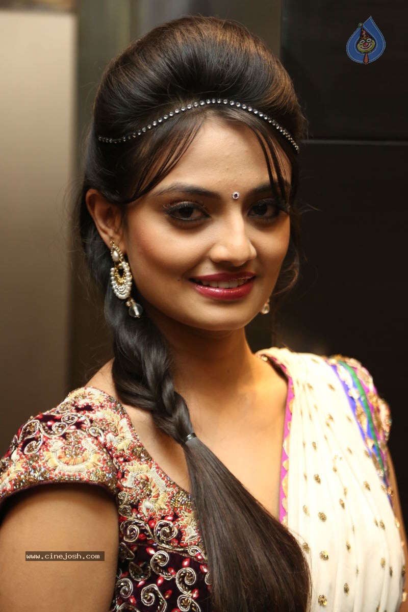Nikitha Narayan New Photos - 41 / 74 photos