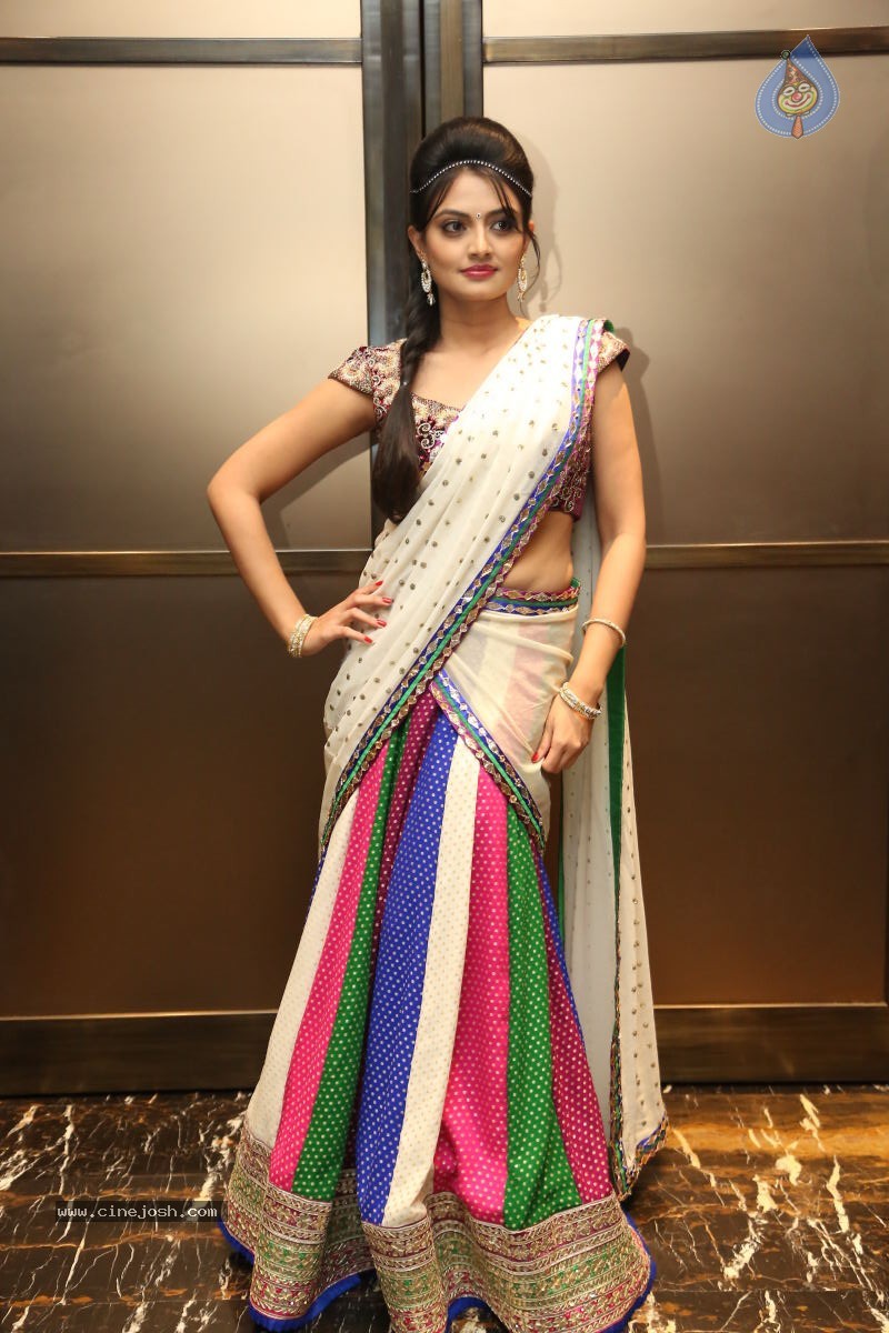 Nikitha Narayan New Photos - 64 / 74 photos