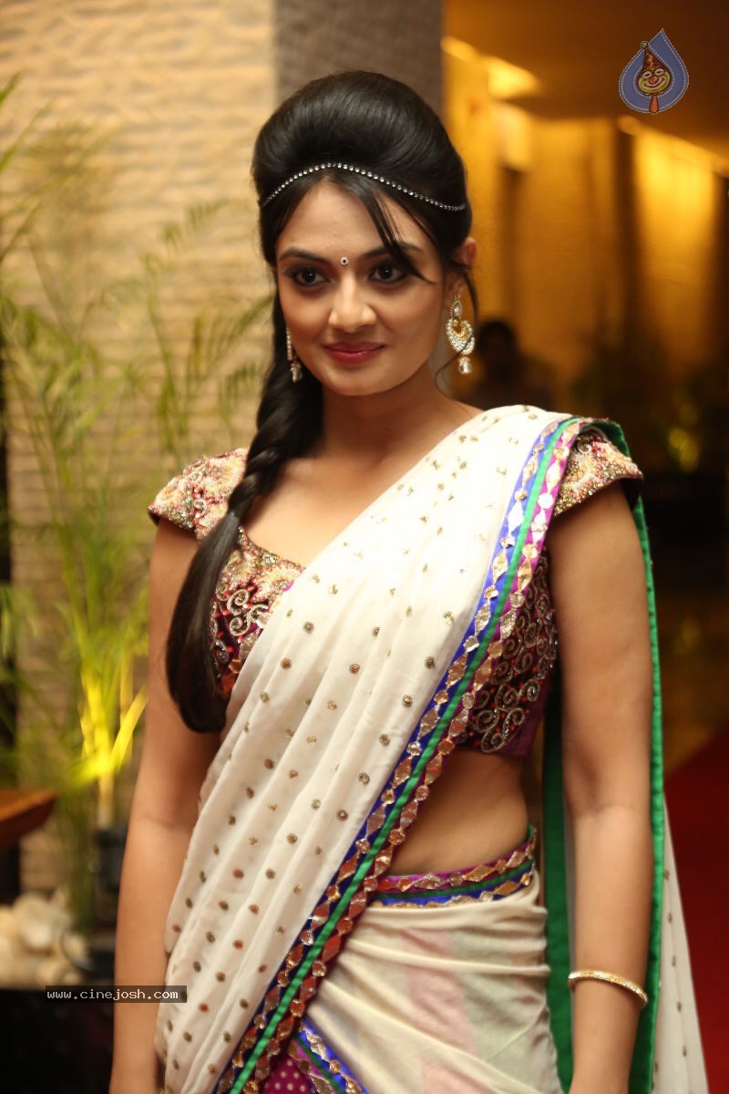 Nikitha Narayan New Photos - 70 / 74 photos