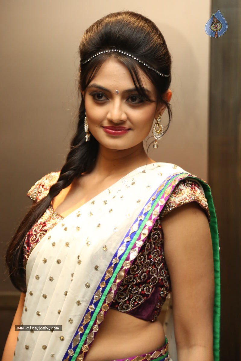 Nikitha Narayan New Photos - 72 / 74 photos
