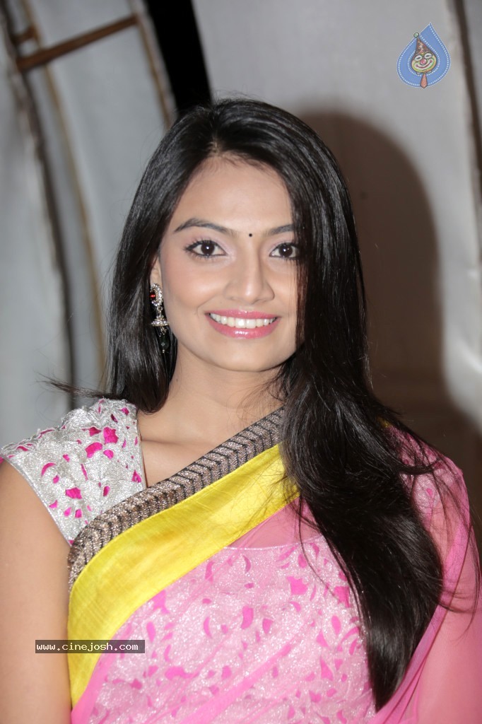 Nikitha Narayan New Photos - 52 / 65 photos