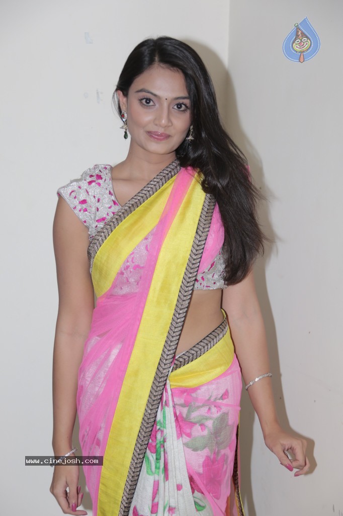 Nikitha Narayan New Photos - 57 / 65 photos