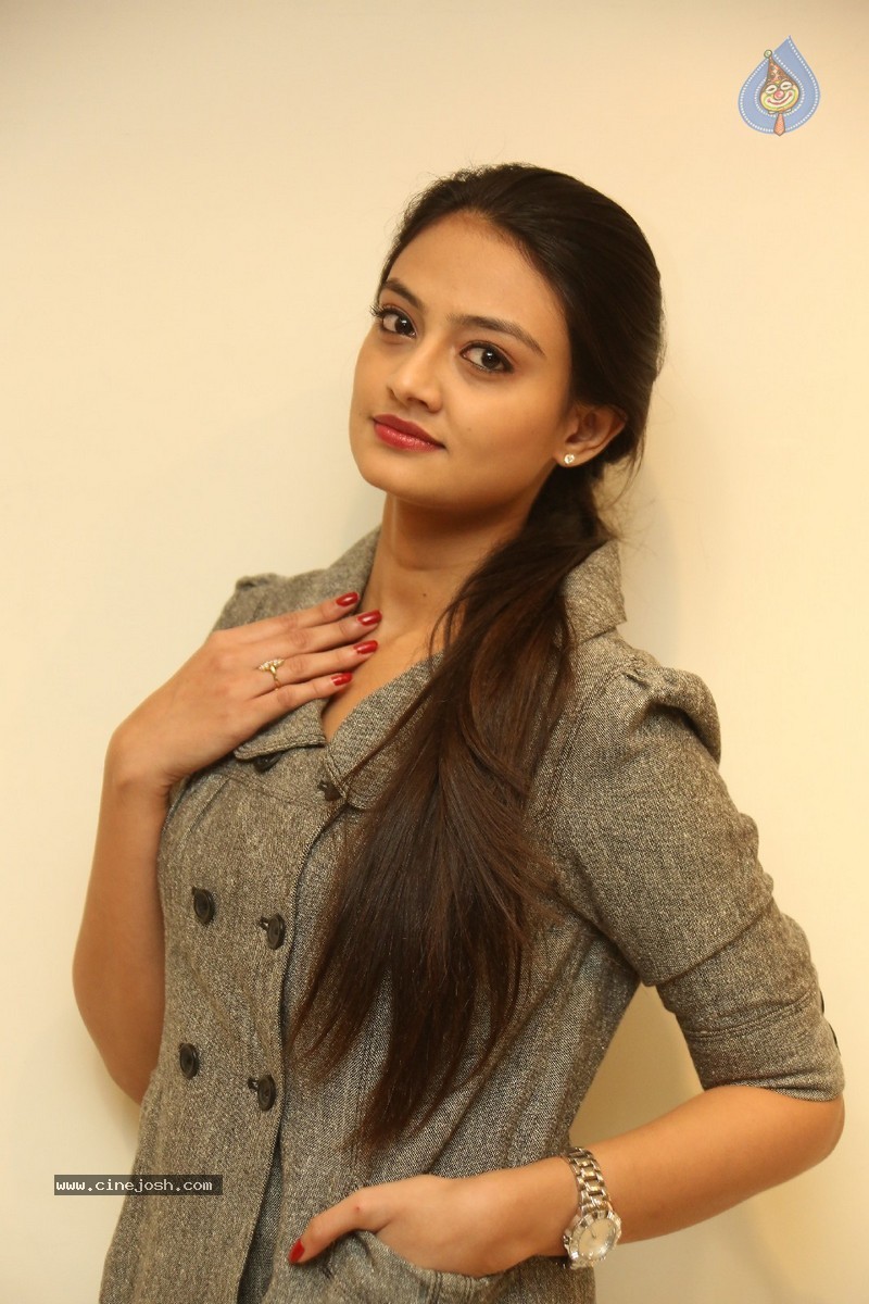 Nikitha Narayan New Photos - 85 / 87 photos