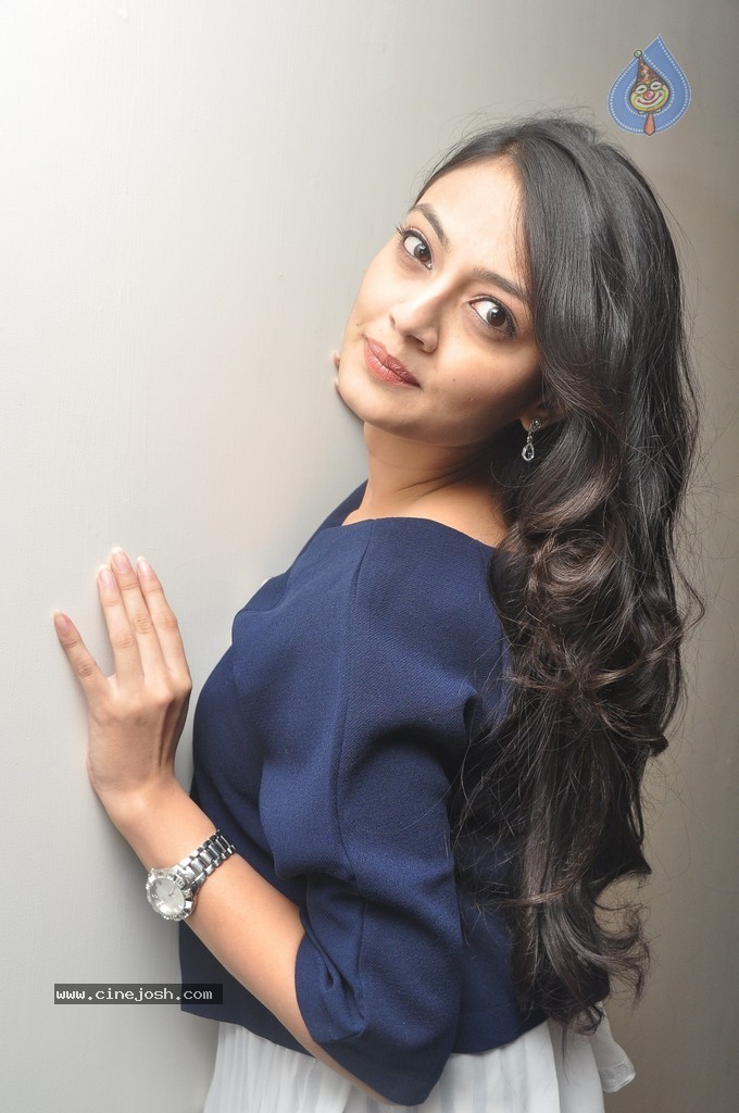 Nikitha Narayan New Photos - 24 / 73 photos