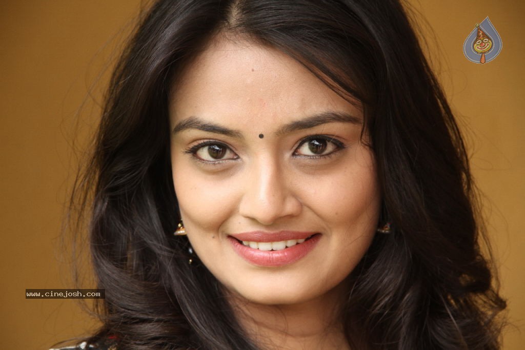 Nikitha Narayan New Pics - 66 / 100 photos