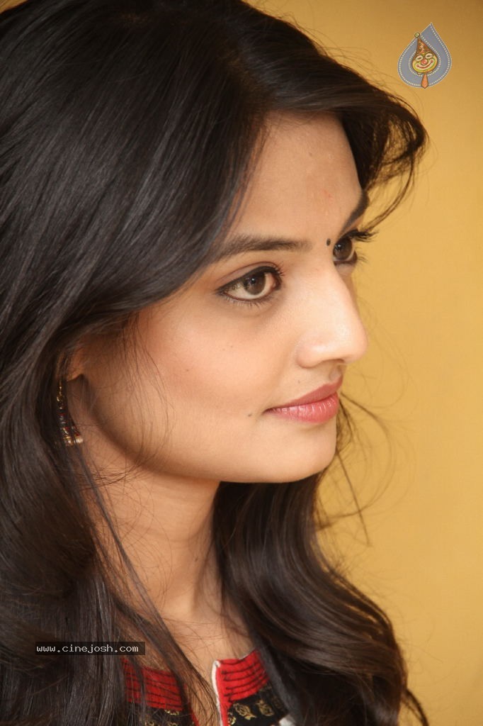 Nikitha Narayan New Pics - 83 / 100 photos
