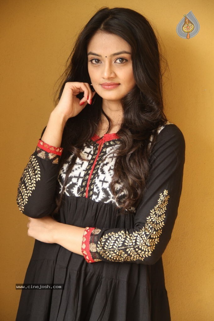 Nikitha Narayan New Pics - 94 / 100 photos