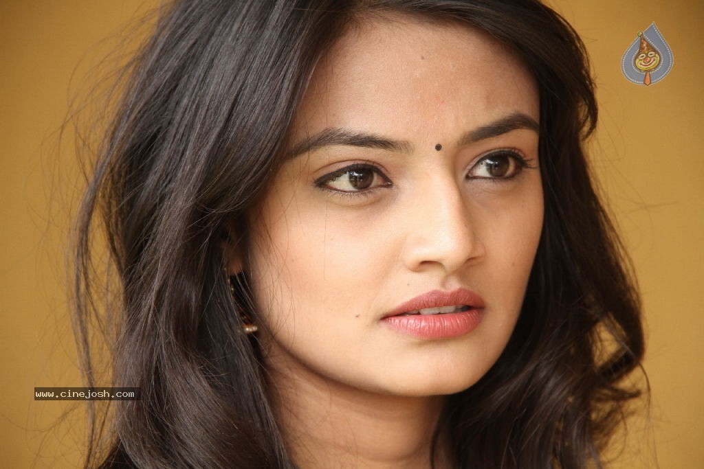 Nikitha Narayan New Pics - 99 / 100 photos