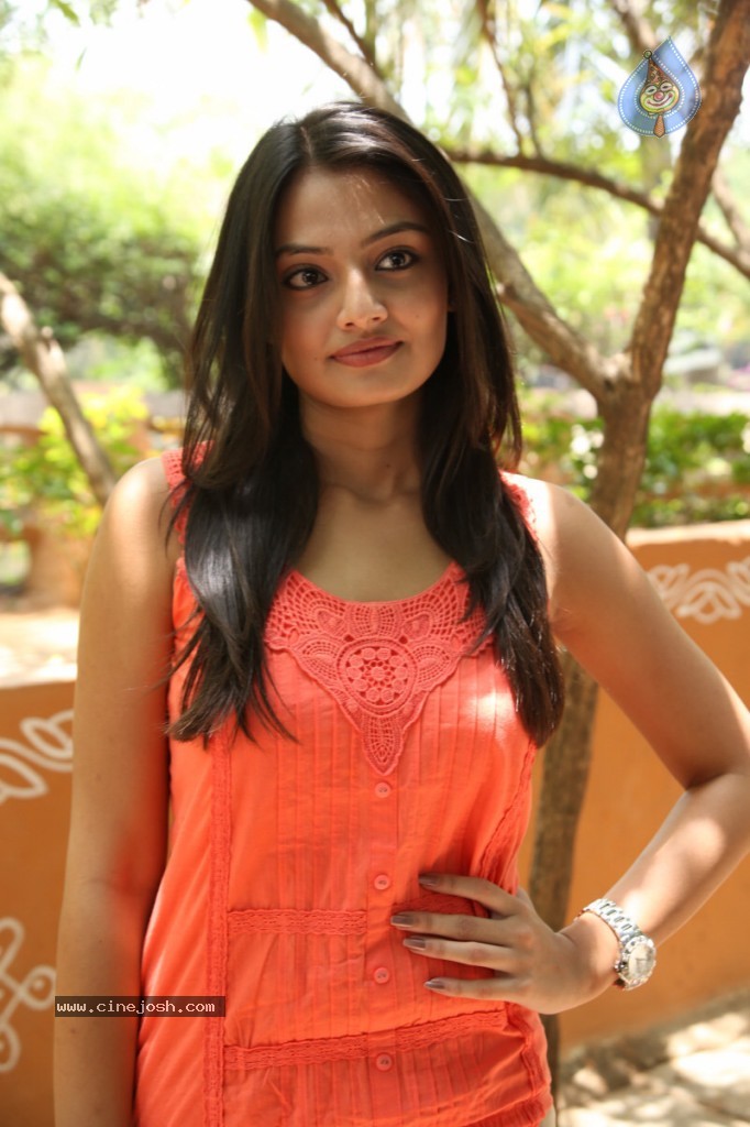 Nikitha Narayan New Pics - 41 / 56 photos