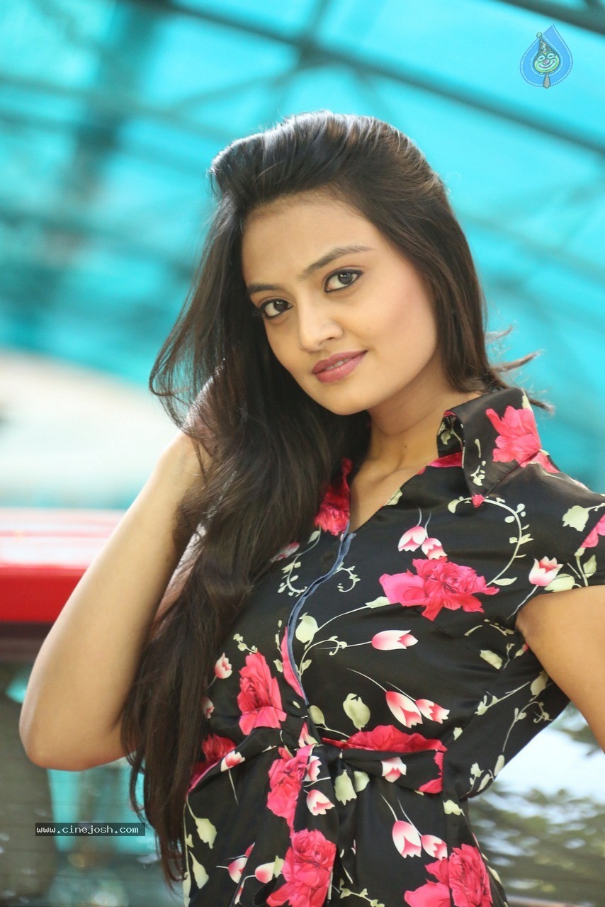 Nikitha Narayan New Stills - 23 / 70 photos