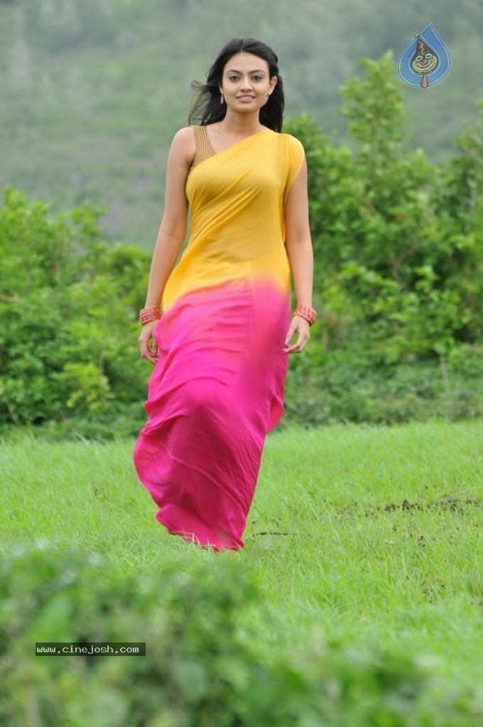 Nikitha Narayan New Stills - 11 / 108 photos